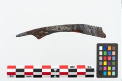 Foto von Eisengriffangelmesser (NHMW-PRAE-025305)